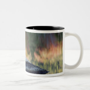 Felsen und Baumreflexion, Lilienteich, Weiß Zweifarbige Tasse
