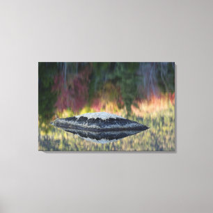 Felsen- und Baumreflexion, Lily Pond, Weiß Leinwanddruck