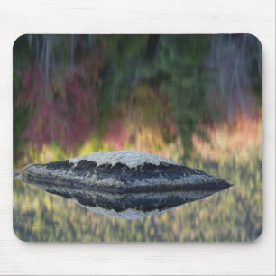 Felsen- und Baumreflexion, Lily Pond, Weiß Mousepad