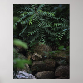 Felsen und Grünflächen Poster