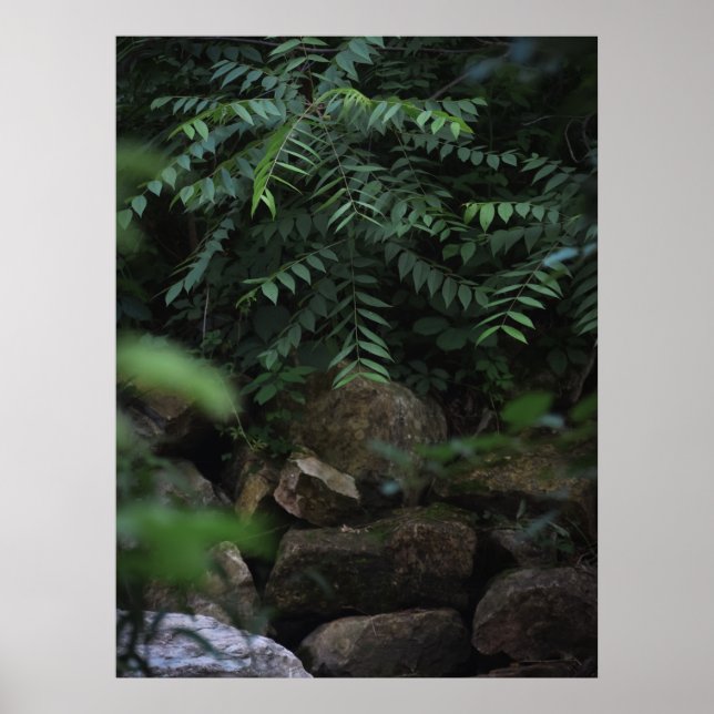 Felsen und Grünflächen Poster (Vorne)