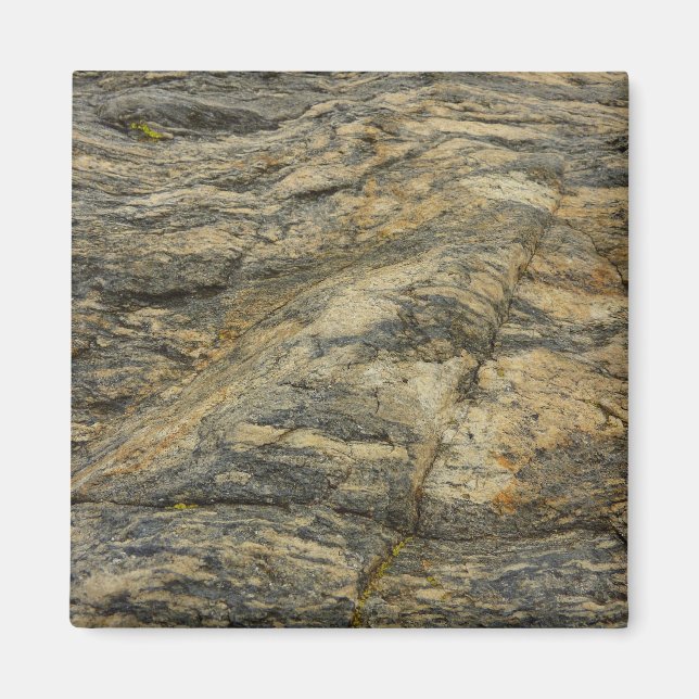 Felsen vom Joshua Tree Magnet (Vorne)