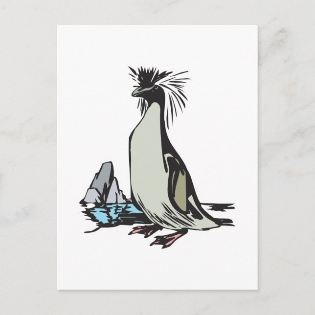 Felsenpinguin Postkarte (Vorderseite)