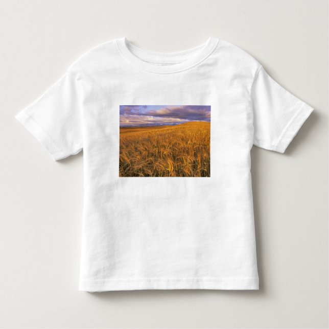 Felsfeld der reifen Gerste entlang des Felsens Kleinkind T-shirt (Vorderseite)