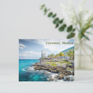 Felsige Küste von Cozumel, Mexiko Postkarte