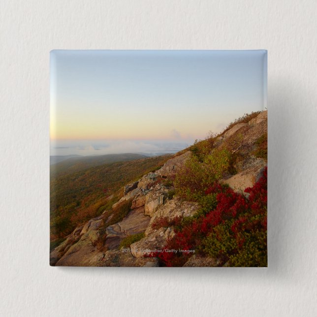 Felsiger Abhang, rote Blumen, Acadia-Nationalpark Button (Vorderseite)
