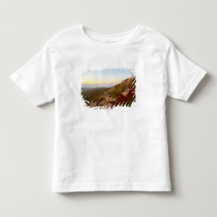 Felsiger Abhang, rote Blumen, Acadia-Nationalpark Kleinkind T-shirt