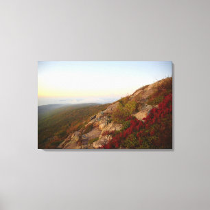 Felsiger Abhang, rote Blumen, Acadia-Nationalpark Leinwanddruck