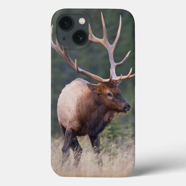 Felsiger Gebirgselche Case-Mate iPhone Hülle (Rückseite)