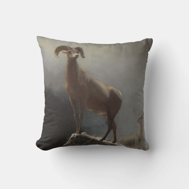 Felsiger Gebirgsschafe oder Big Horn, Ovis, Kissen (Vorderseite)