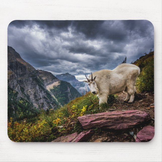 Felsiger Gebirgsziege Mousepad (Vorne)