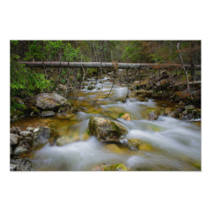Felsiger Waldnebenfluss-Fotodruck Fotodruck