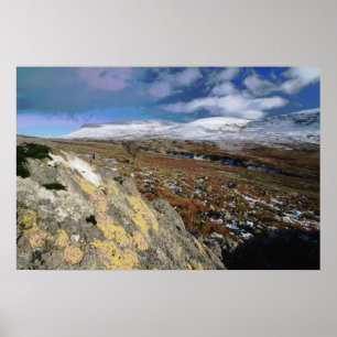 Felsiges Feld Poster