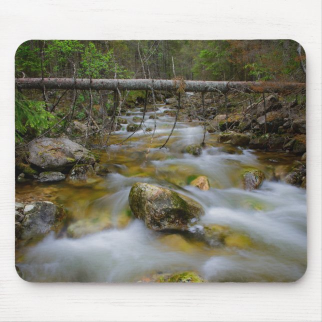 Felsiges Waldnebenfluß mousepad (Vorne)