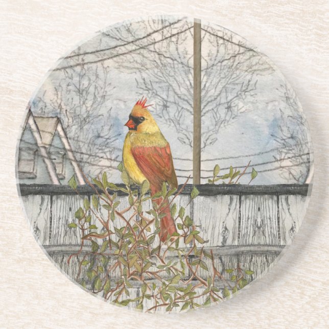 Female Cardinal in the City Sandstone Coaster Getränkeuntersetzer (Vorne)