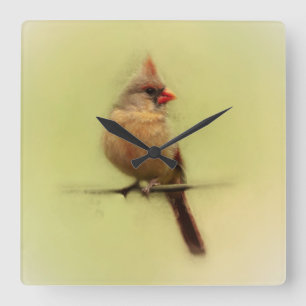 Female Cardinal Songbird Quadratische Wanduhr