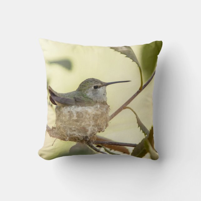 Female Hummingbird on her nest Kissen (Vorderseite)