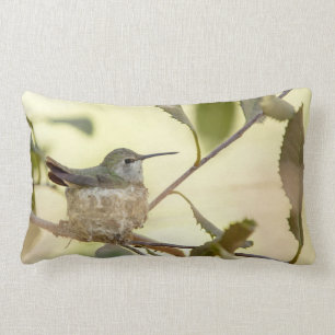 Female Hummingbird on her nest Lendenkissen