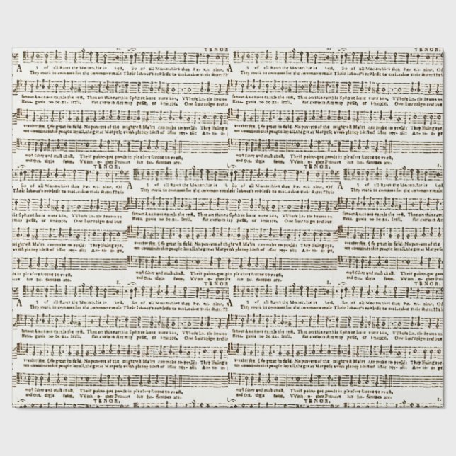 Feminine Monarchie Mittelalterliche Bee Song Tissu Geschenkpapier (Saum)
