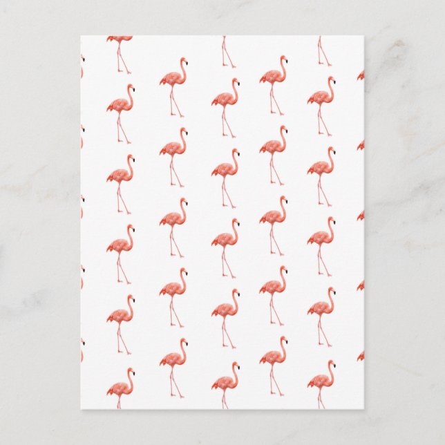 Feminine Pink Flamingo Muster Postkarte (Vorderseite)