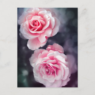 Feminine Pink Roses Foto Postkarte