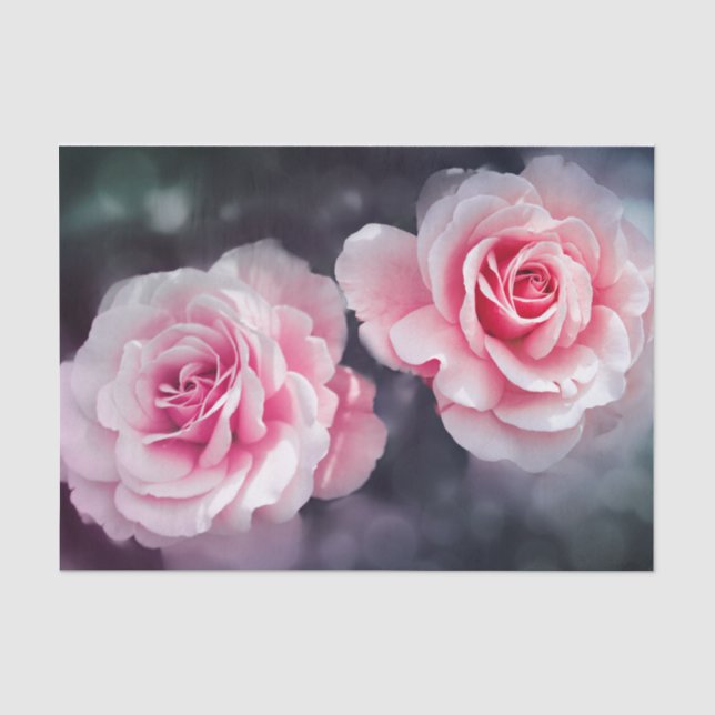 Feminine Pink Roses Foto Seidenpapier (Vorderseite)