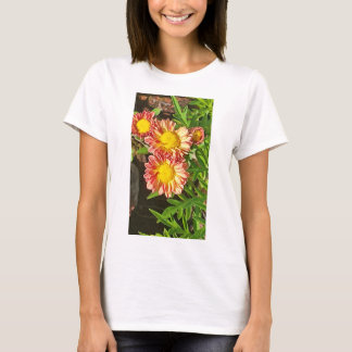 Femmes New Look Tshirts et plus