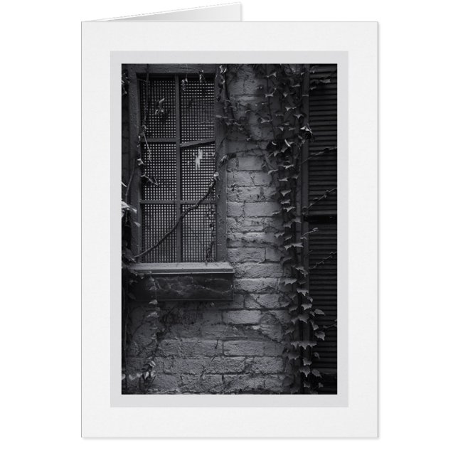 Fenêtre #23 (Devant)