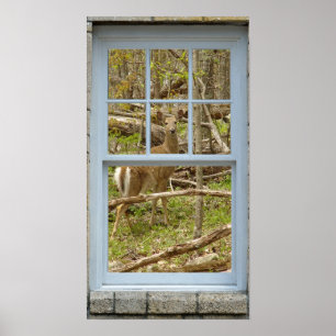 Fenêtre regardant Deer Doe Poster