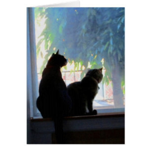 Fenêtre regardant Kitties