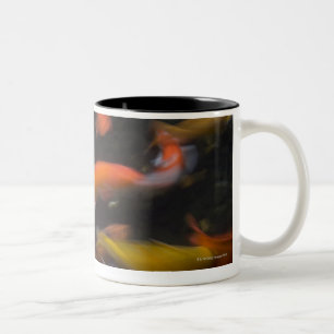 Feng Shui glauben, dass koi Fische gutes Glück Zweifarbige Tasse