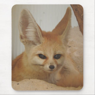 Fennec Fox Mousepad