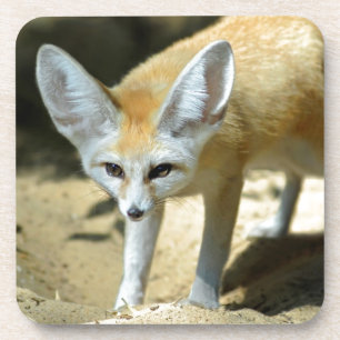 Fennec fox untersetzer