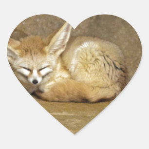 Fennec Herz-Aufkleber