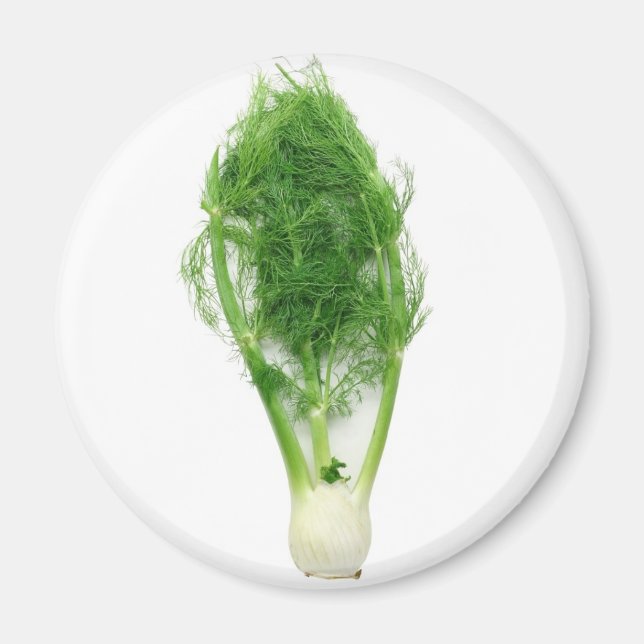 Fennel-Blatt und -Birne Magnet (Vorne)