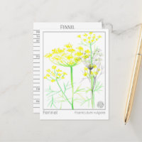 Fennel Materia Medical Herbal Study Card
