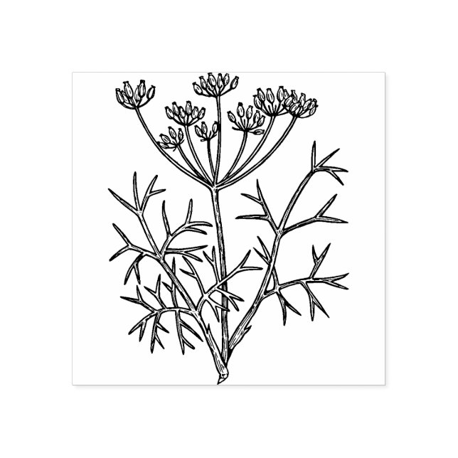 Fennel Pflanze Rubber Briefmarke Gummistempel (Prägung)