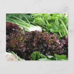 Fennel und Salat Postkarte