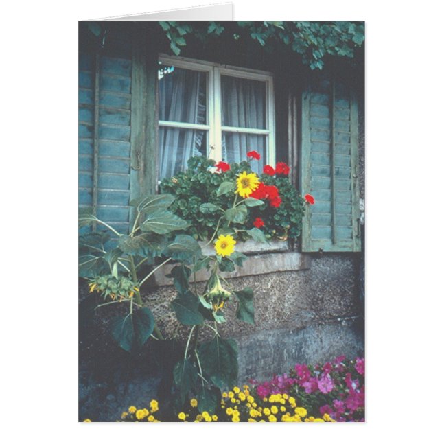 "Fenster, Blume und Fensterheber" (Vorne)