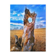 Fenster der Postkarte