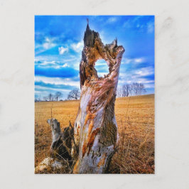 Fenster der Postkarte