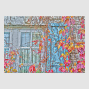 Fenster des Herbstes hinterlässt Rot-Blau-Antillen Seidenpapier