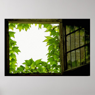 Fenster drucken poster
