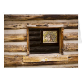 Fenster durch und durch Kabinen