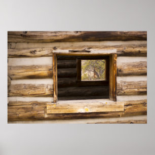 Fenster durch und durch Kabinen Poster