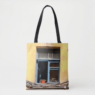 Fenster in Sankt Petersburg Tasche