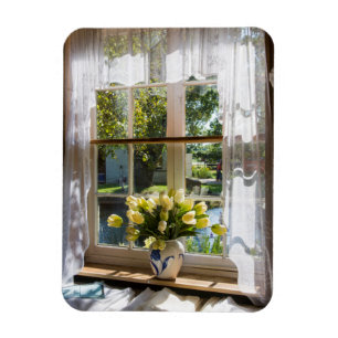 Fenster mit Spitzenvorhang und Tulpen Magnet