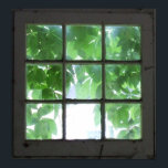 Fenster Poster<br><div class="desc">Mit Blätter,  die durch zeigen.</div>