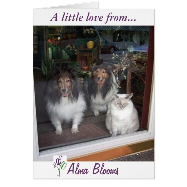 Fensteransicht (Vorne)