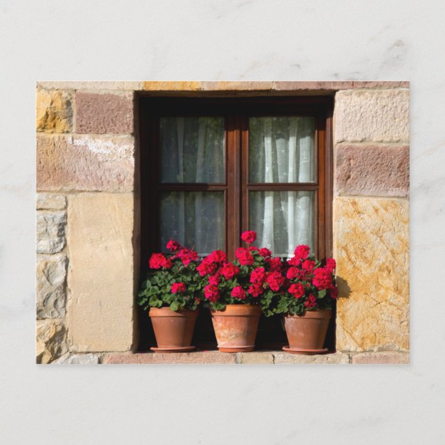 Fensterheber Blume im Dorf Postkarte (Vorderseite)